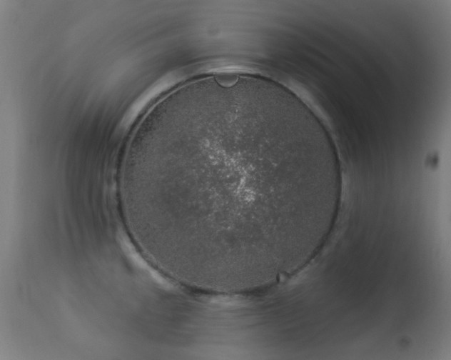 X0000113281189200909211032