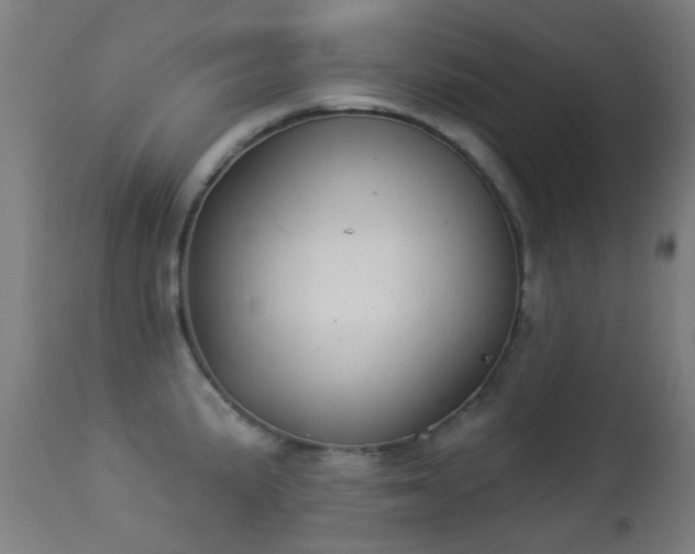 X0000113281191200909211032