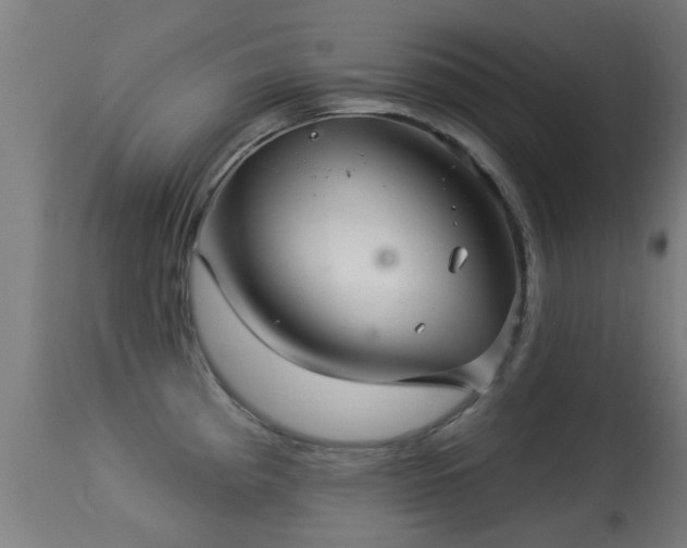 X0000113281193200909211032