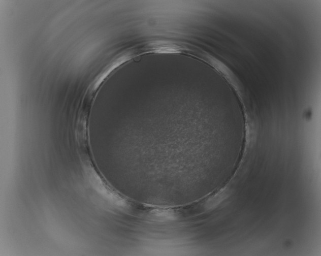 X0000113281194200909211032