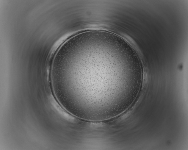 X0000113281196200909211032