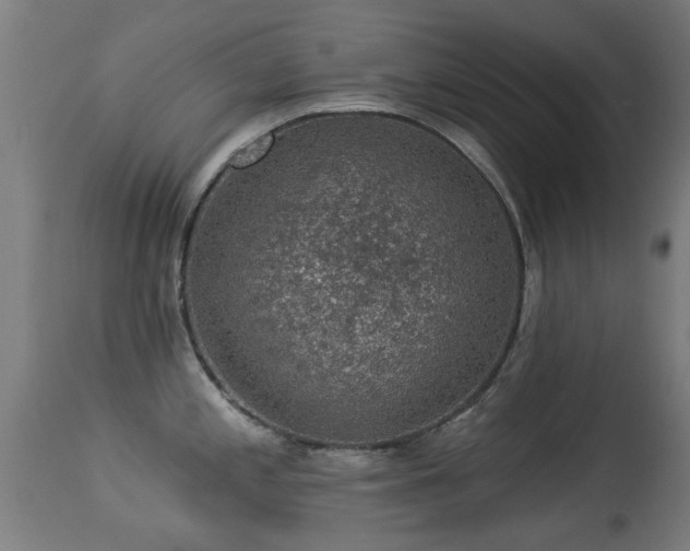 X0000113281197200909211032