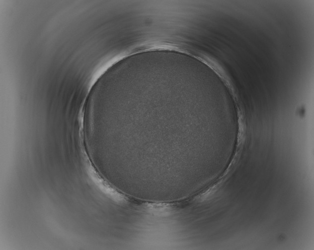 X0000113281198200909211032