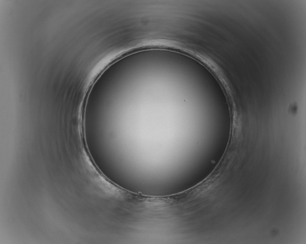 X0000113281199200909211032