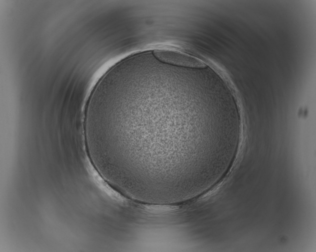 X0000113281200200909211032