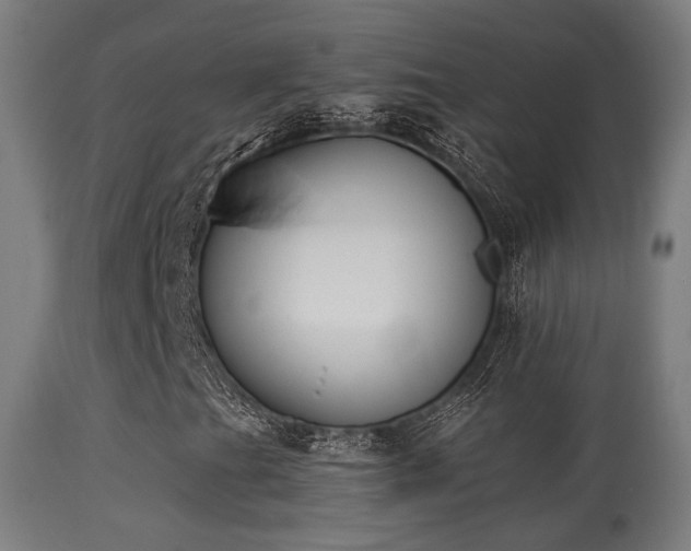 X0000113281201200909211031