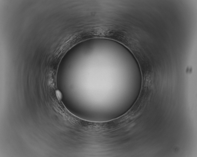 X0000113281202200909211031