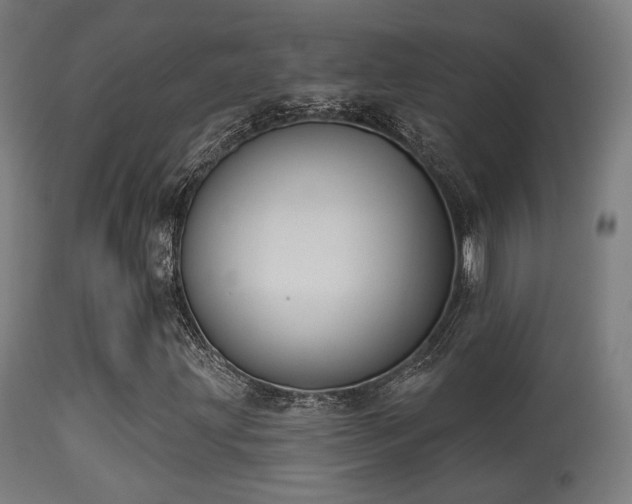 X0000113281203200909211031