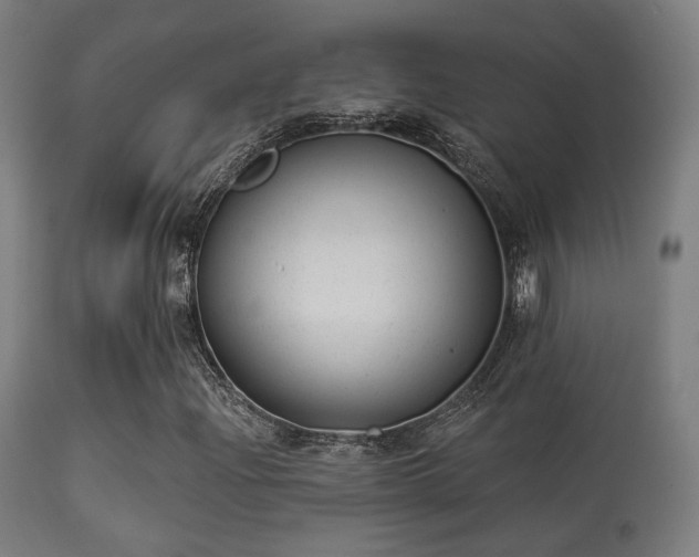 X0000113281204200909211031