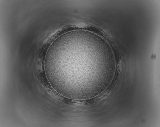 X0000113281205200909211031