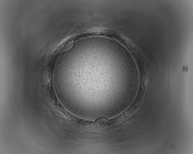 X0000113281206200909211031