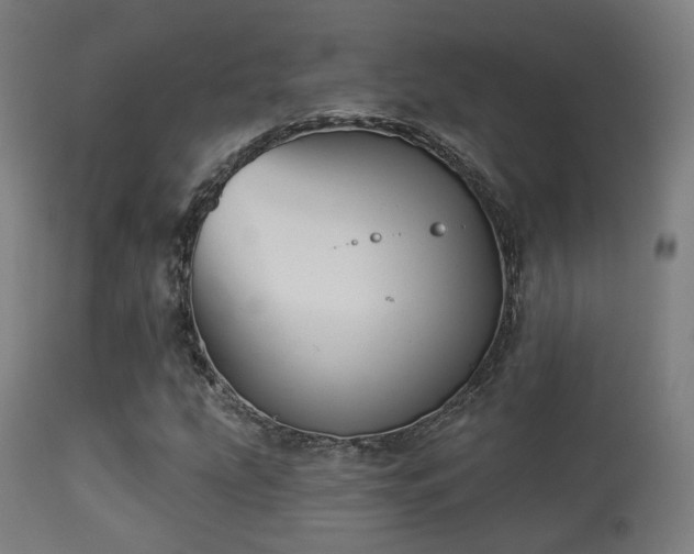 X0000113281207200909211031