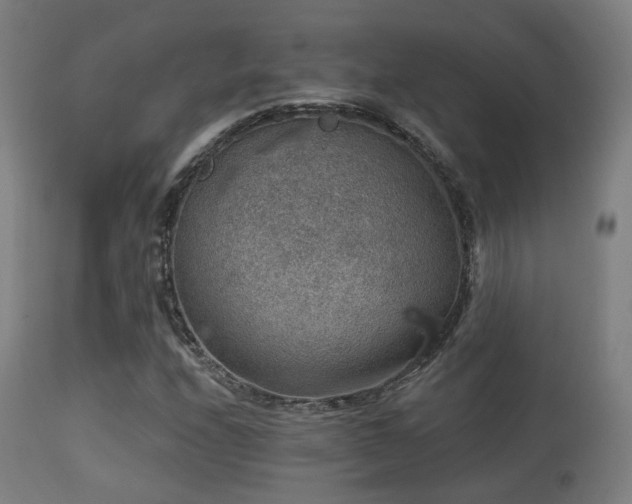 X0000113281208200909211031