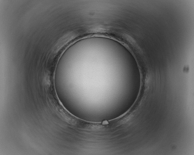 X0000113281209200909211031