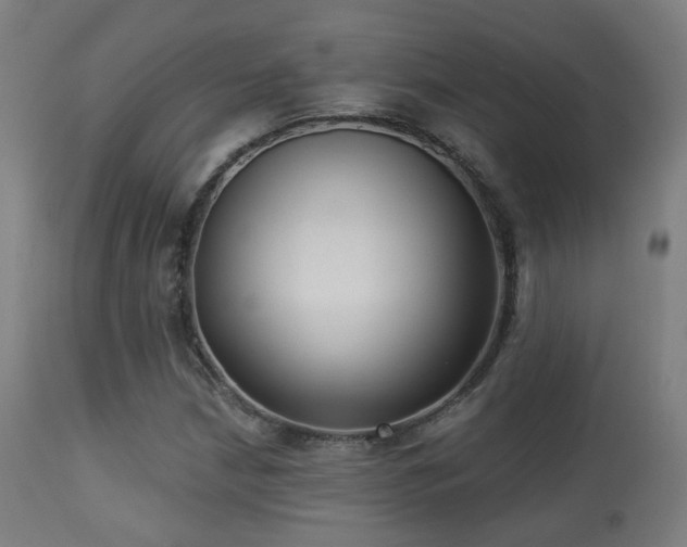 X0000113281210200909211031