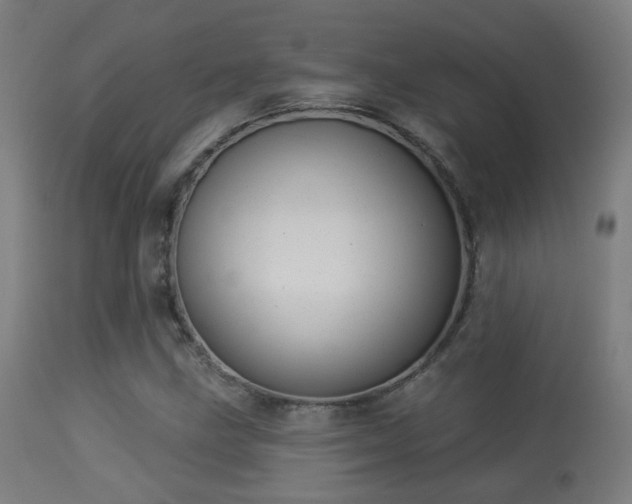 X0000113281211200909211031