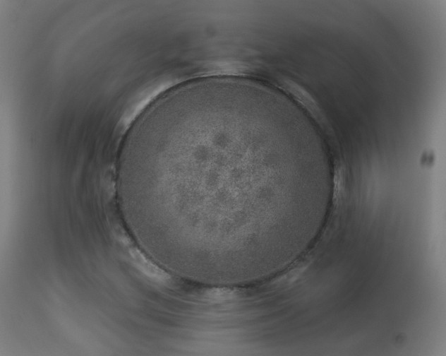 X0000113281212200909211031