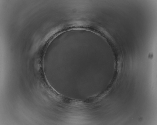 X0000113281213200909211032