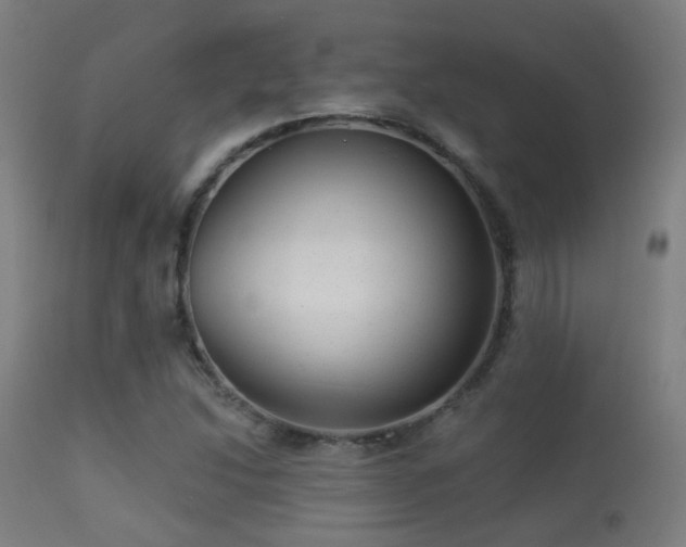 X0000113281214200909211032