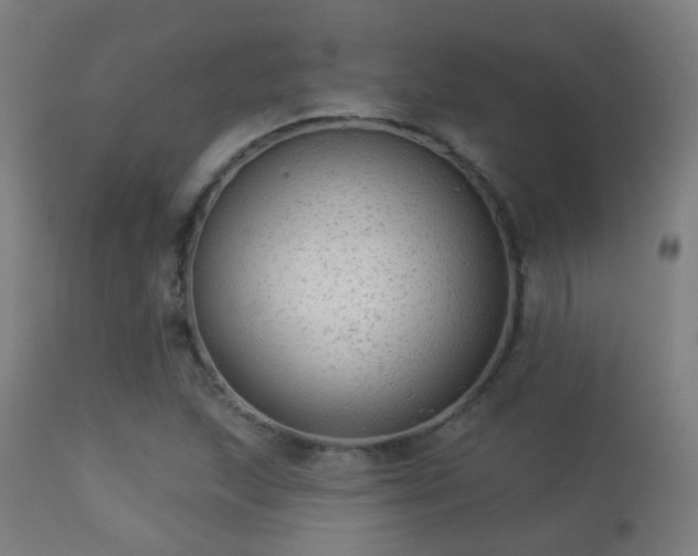 X0000113281215200909211032