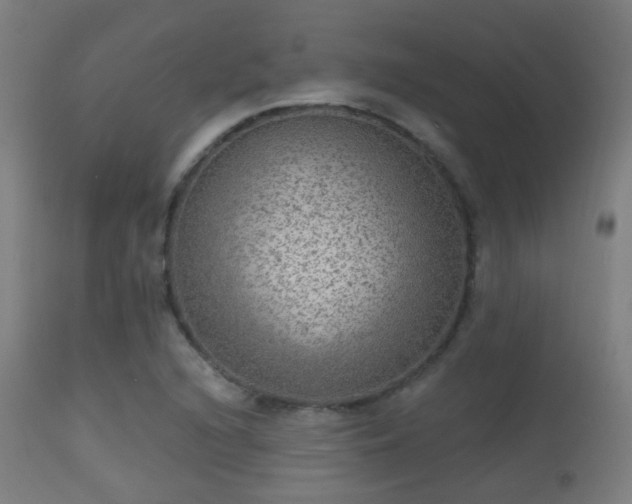 X0000113281216200909211032