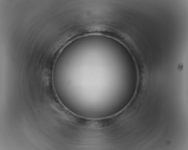 X0000113281217200909211032