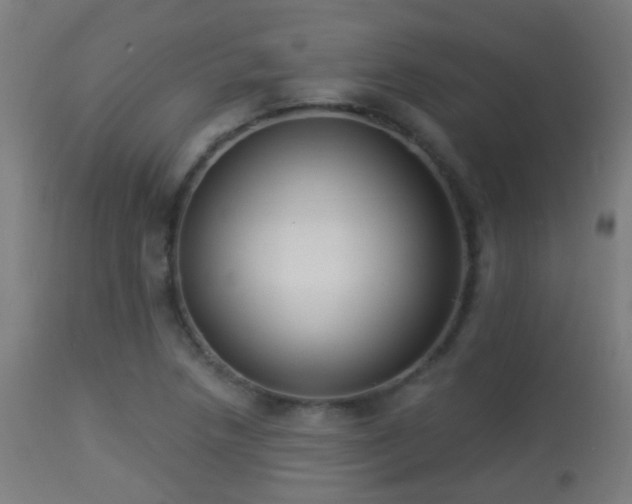 X0000113281218200909211032