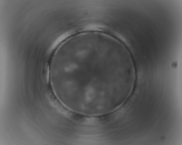 X0000113281219200909211032