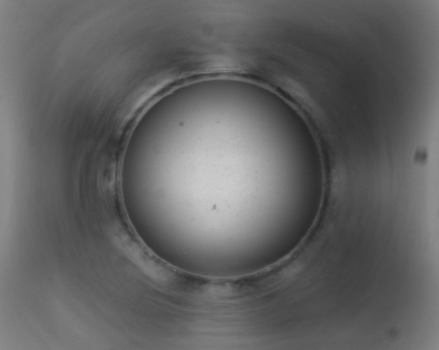 X0000113281220200909211032