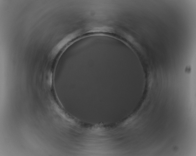 X0000113281221200909211032