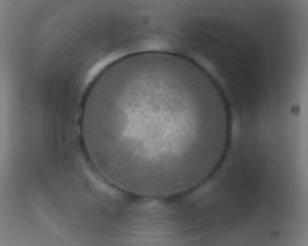 X0000113281222200909211032