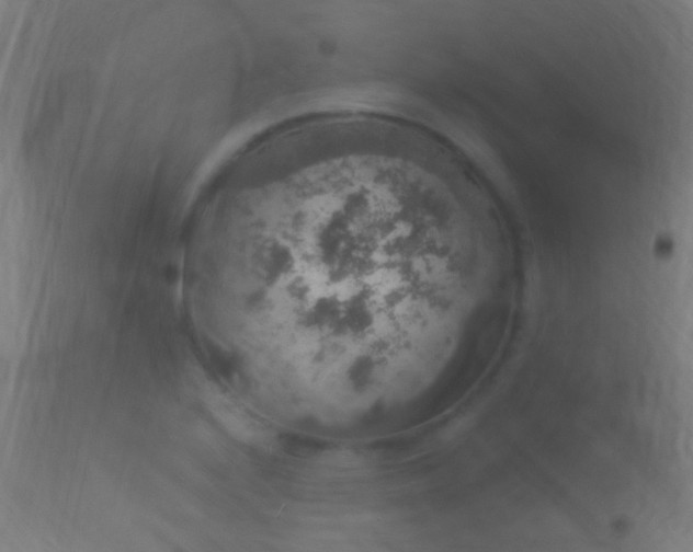 X0000113281224200909211032