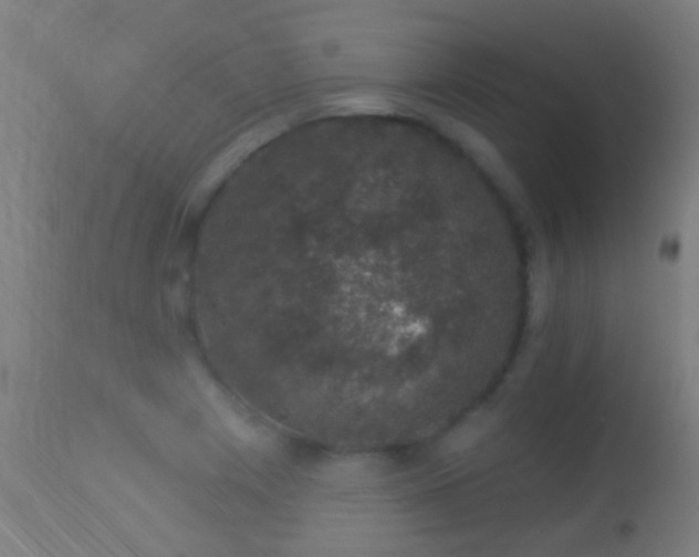 X0000113281225200909211032