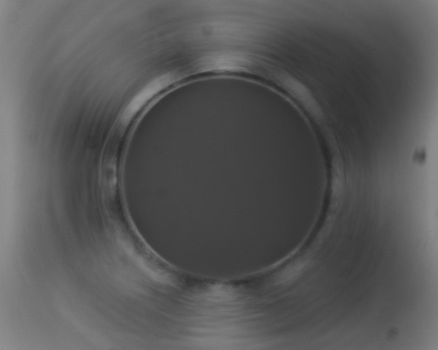 X0000113281226200909211032