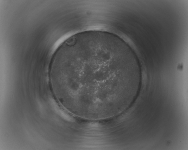 X0000113281230200909211032