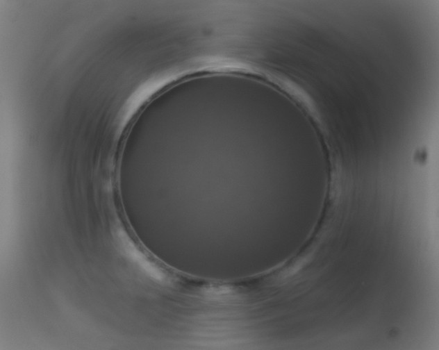 X0000113281231200909211032