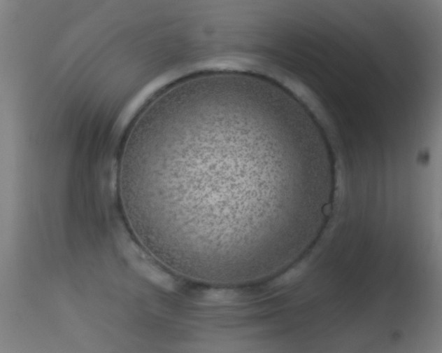 X0000113281232200909211032