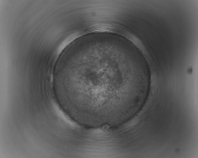 X0000113281234200909211032