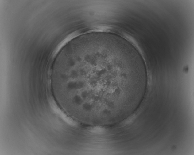 X0000113281235200909211032