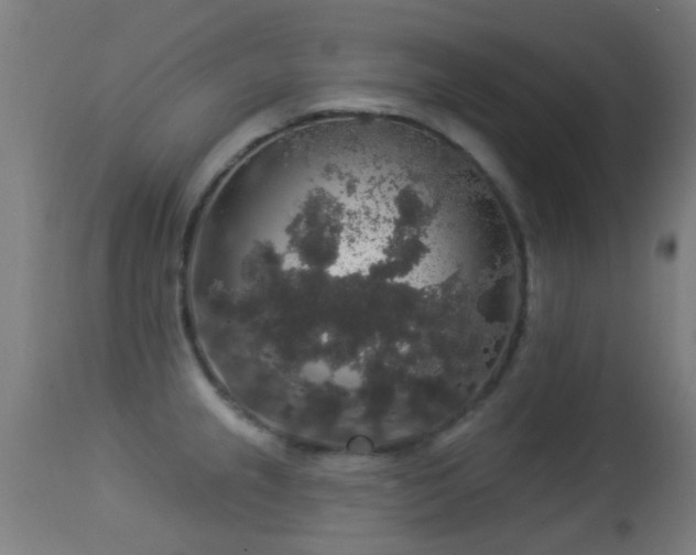 X0000113281237200909211032