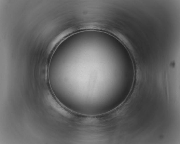 X0000113281238200909211032