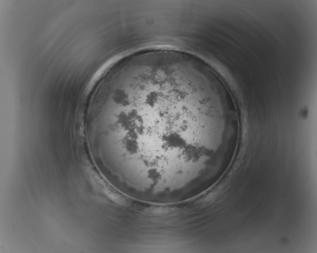 X0000113281240200909211032