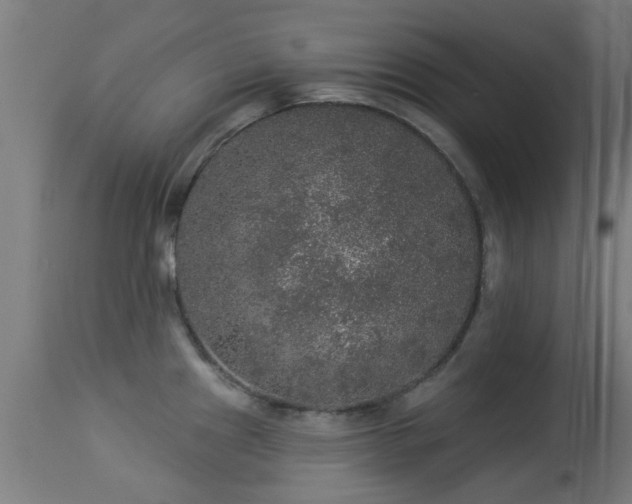 X0000113281241200909211032