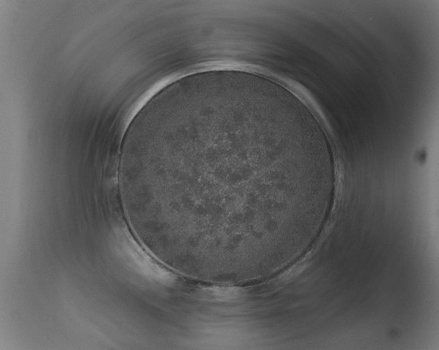 X0000113281244200909211032