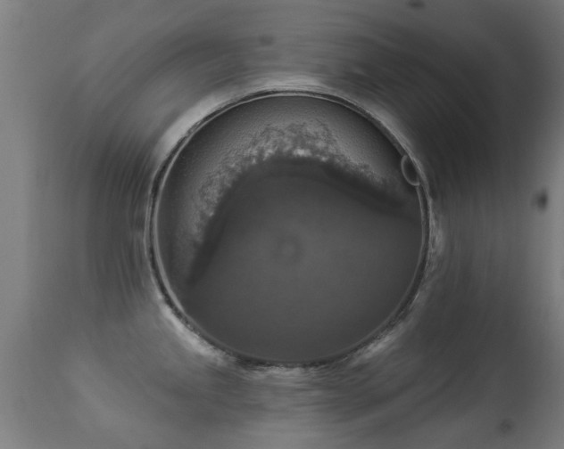 X0000113281245200909211032