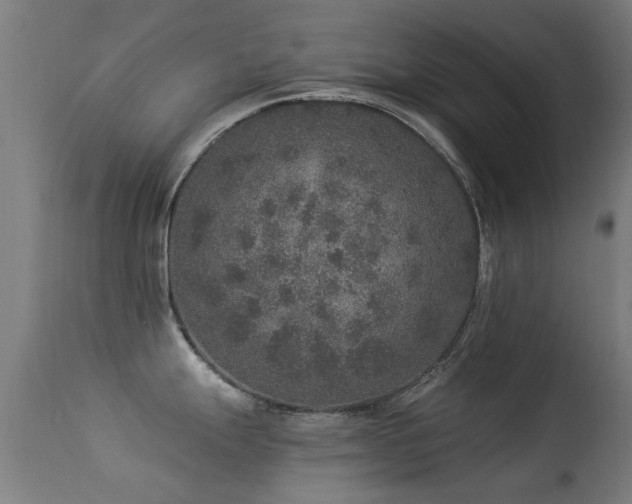 X0000113281247200909211032