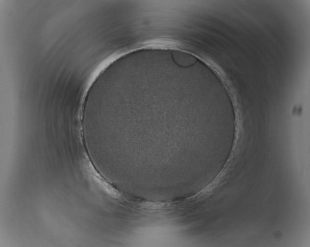 X0000113281248200909211032