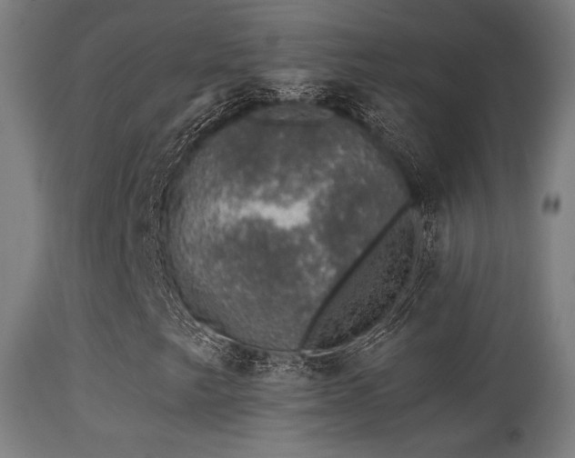 X0000113281249200909211031