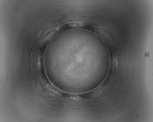 X0000113281250200909211031