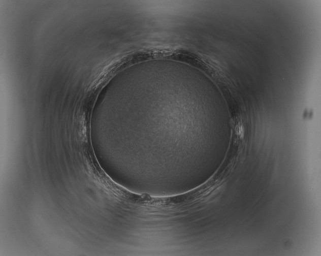 X0000113281252200909211031